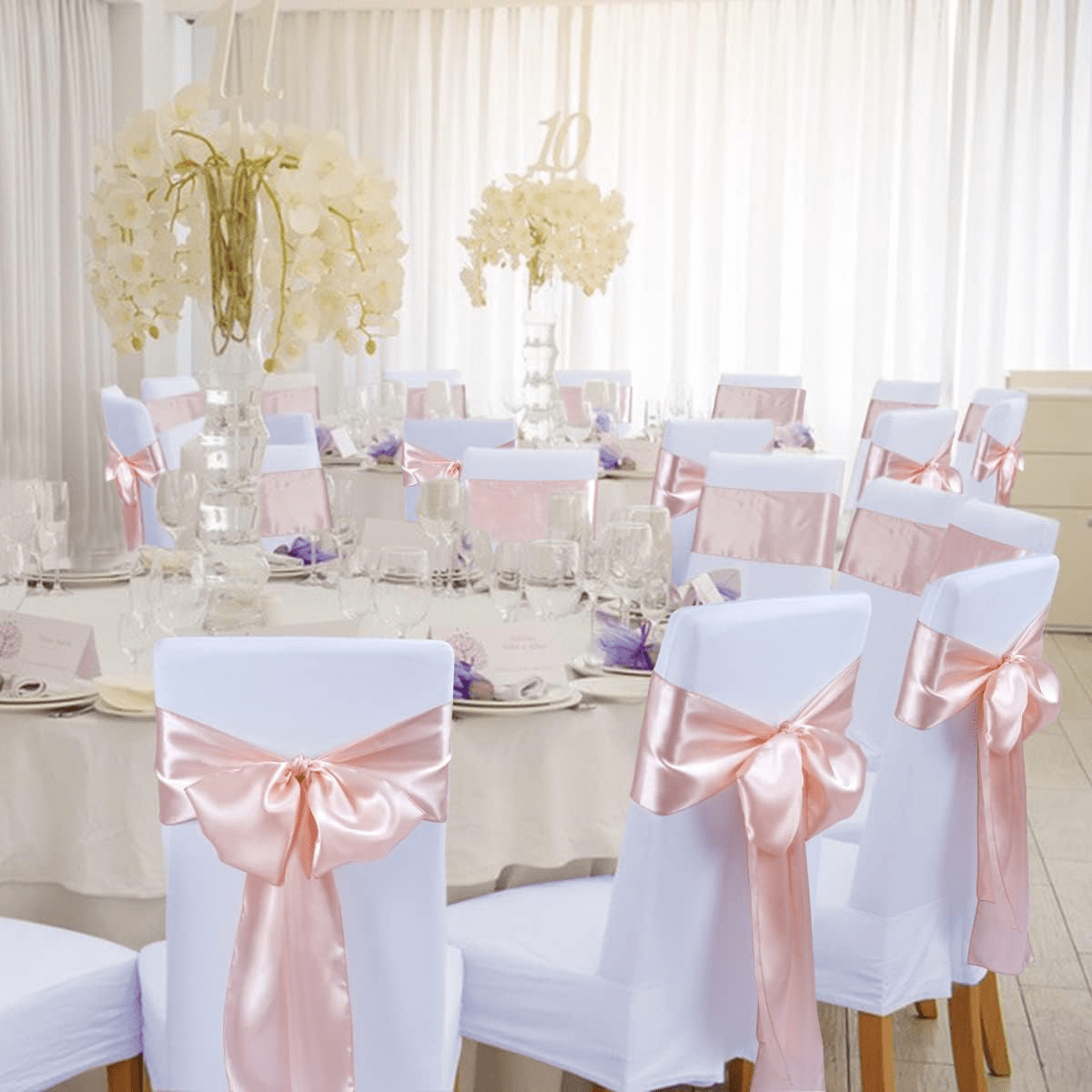 imagen_2025-01-31_101319411