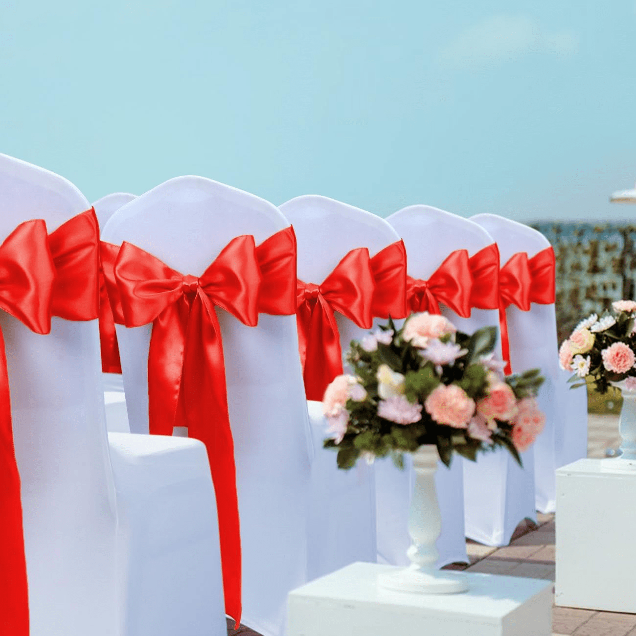 imagen_2025-01-31_101441053